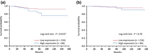 Fibroblast growth factor receptor-1 protein expression is associated with prognosis in estrogen receptor-positive/human epidermal growth factor receptor-2-negative primary breast cancer