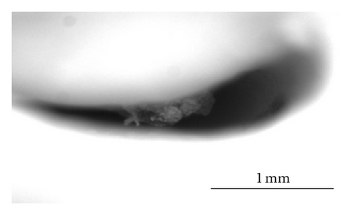 Details are in the caption following the image