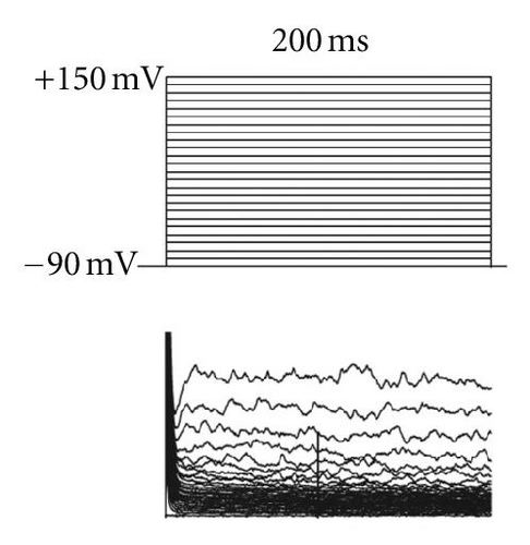 Details are in the caption following the image