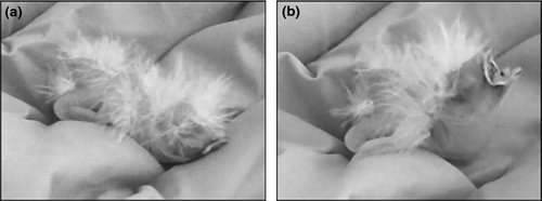 Details are in the caption following the image Details are in the caption following the image