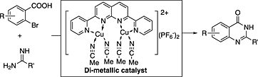 Dicopper complexes catalyzed coupling/cyclization of 2-bromobenzoic acids with amidines leading to quinazolinones