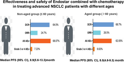 Effectiveness and safety of Endostar combined with chemotherapy in treating advanced NSCLC patients with different ages