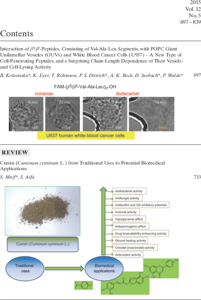 First page image