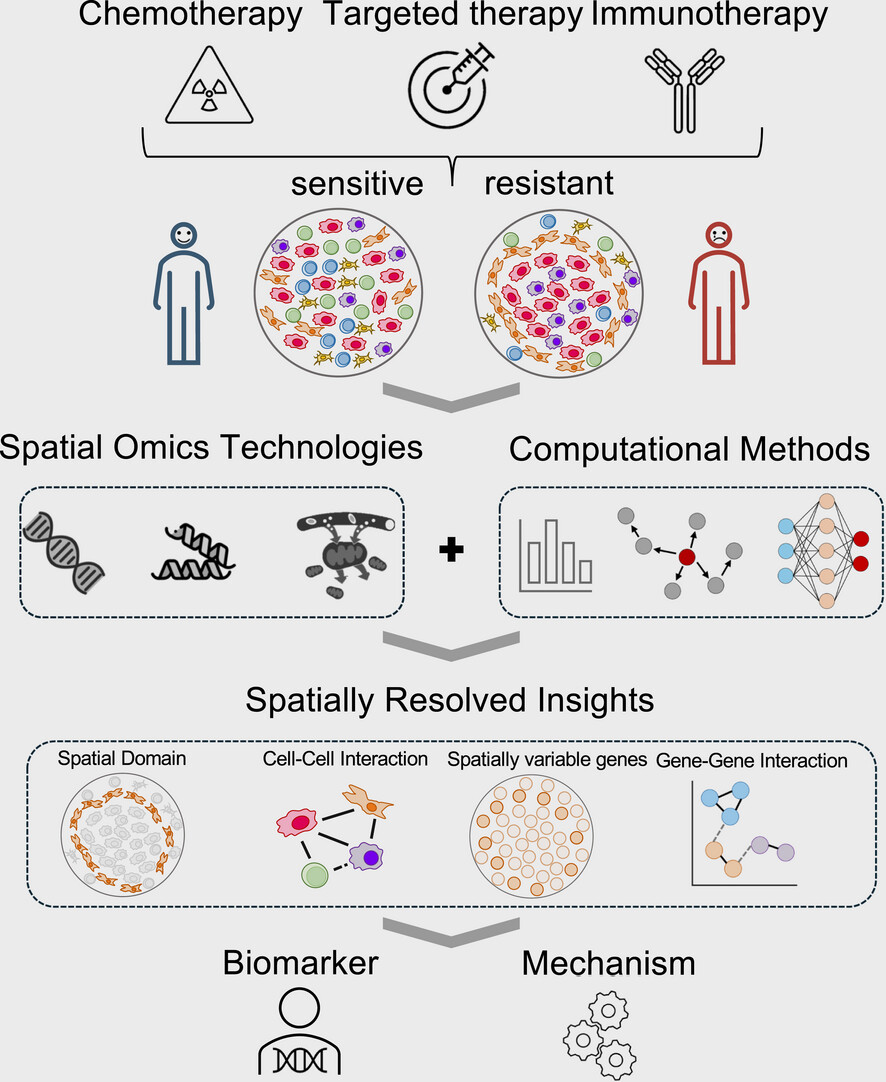 Cancer therapy resistance from a spatial-omics perspective Issue 7, 2025