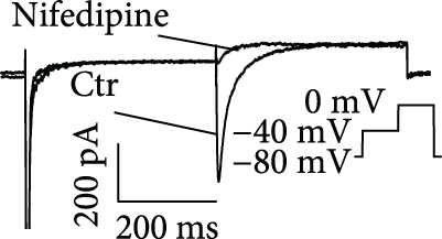 Details are in the caption following the image