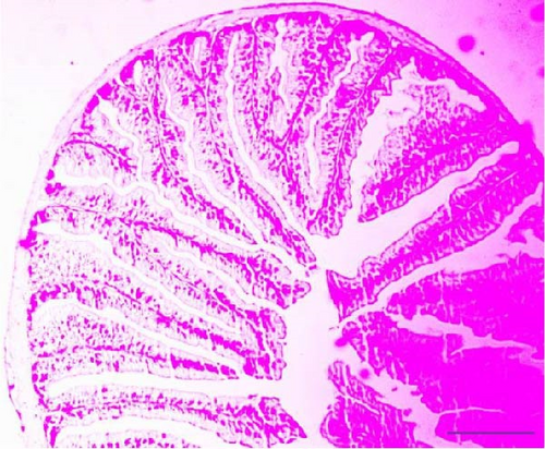 Details are in the caption following the image