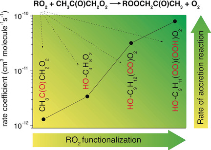 Accretion Product Formation from Self- and Cross-Reactions of RO2 Radicals in the Atmosphere