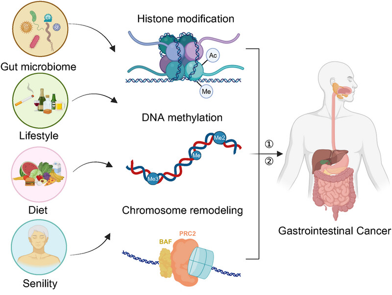 Epigenetic reprogramming in gastrointestinal cancer: biology and translational perspectives