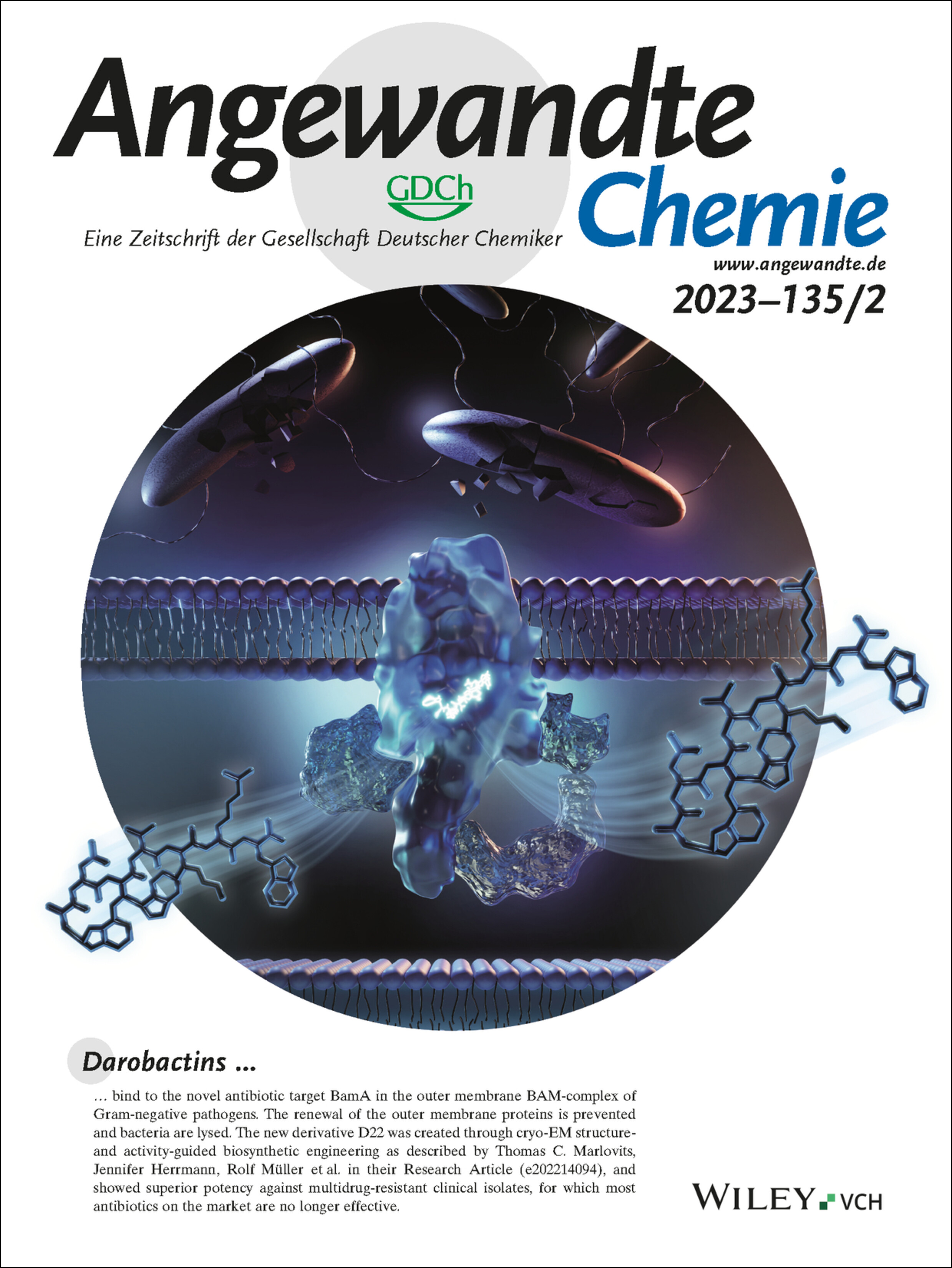 Innentitelbild: Darobactine mit Überlegener Antibiotischer Aktivität Generiert durch Strukturgeleitetes Kryo-EM-Biosynthese-Design (Angew. Chem. 2/2023) Volume 135 Issue 2, 2023
