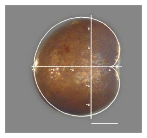 Details are in the caption following the image