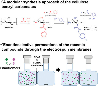 Electrospinning of Cellulose Benzyl Carbamates for Enantioselective Membrane Filtration