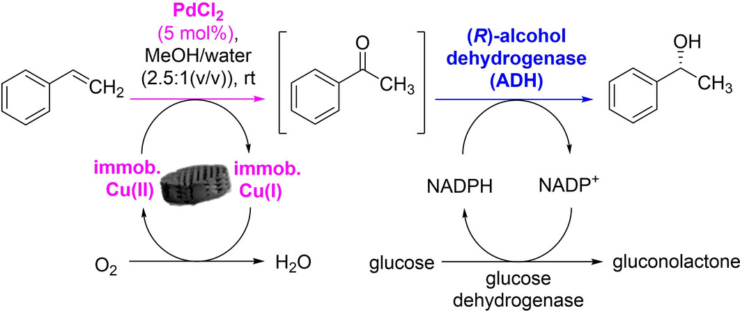 Design of 3D-Printed Heterogeneous Reactor Systems To Overcome Incompatibility Hurdles when Combining Metal and Enzyme Catalysis in a One-Pot Process