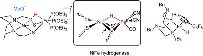 Catalytic Hydrogen Oxidation: Dawn of a New Iron Age