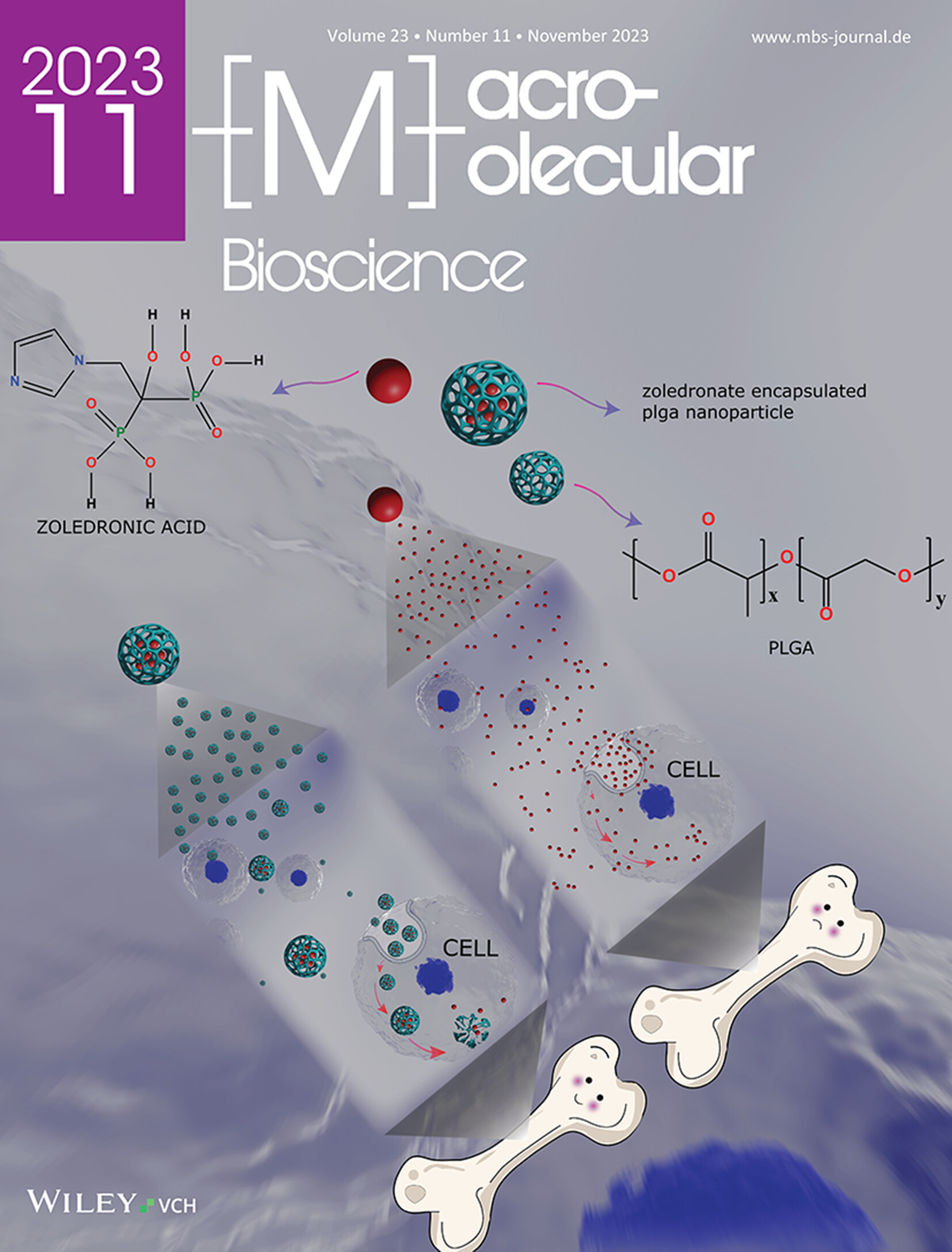 Polymeric Nanoformulation of Zoledronic Acid Rescues Osteoblasts from the Harmful Effect of its Native Form: An In Vitro Investigation of Cytotoxic Potential on Osteoblasts and Osteosarcoma Cells Volume 23 Issue 11, 2023