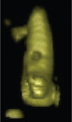 Details are in the caption following the image Details are in the caption following the image