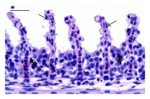 Details are in the caption following the image