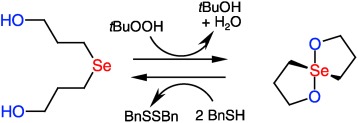 The Exceptional Glutathione Peroxidase-Like Activity of Di(3-hydroxypropyl) Selenide and the Unexpected Role of a Novel Spirodioxaselenanonane Intermediate in the Catalytic Cycle