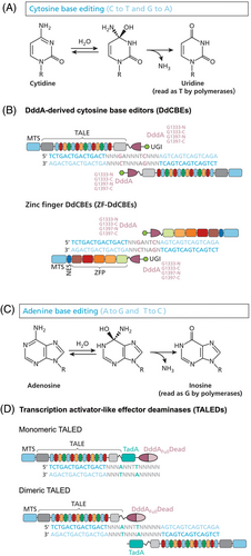 Details are in the caption following the image Details are in the caption following the image