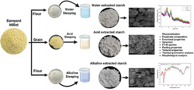 Effects of Wet-Milling Extraction Methods on Nutritional, Functional, and Structural Properties of Barnyard Millet Starch