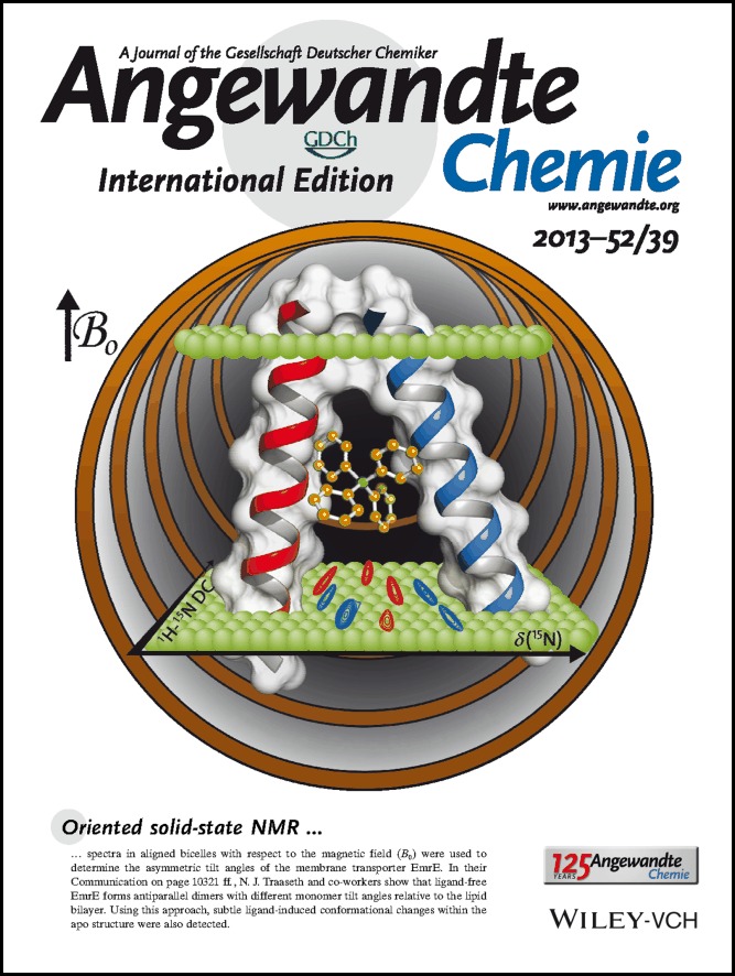 Back Cover: Ligand-Induced Conformational Changes of the Multidrug Resistance Transporter EmrE Probed by Oriented Solid-State NMR Spectroscopy (Angew. Chem. Int. Ed. 39/2013)