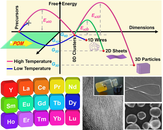 A Library of Rare Earth Oxide Ultrathin Nanowires with Polymer-Like Behaviors