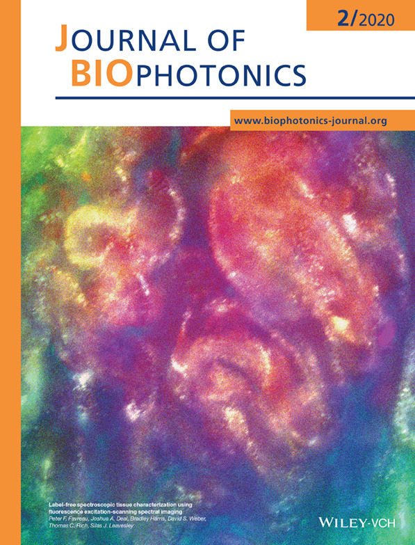 Front Cover: Label-free spectroscopic tissue characterization using fluorescence excitation-scanning spectral imaging (J. Biophotonics 2/2020)