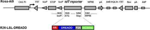 Details are in the caption following the image Details are in the caption following the image