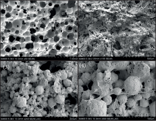 Details are in the caption following the image