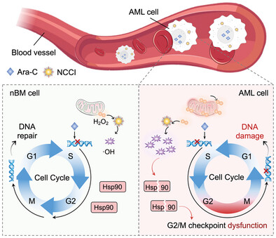 A Selective Nano Cell Cycle Checkpoint Inhibitor Overcomes Leukemia Chemoresistance