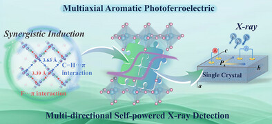 Multiaxial Aromatic-Based Photoferroelectric Induced by Synergistic Intermolecular Interactions for Multidirectional Self-Powered X-Ray Detection