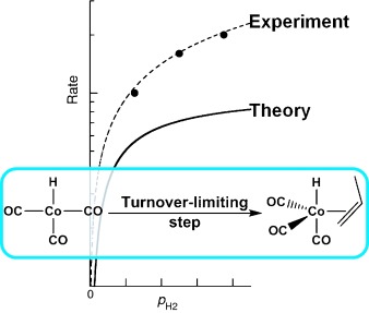 Computational Kinetics of Cobalt-Catalyzed Alkene Hydroformylation