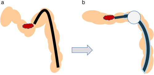 Details are in the caption following the image Details are in the caption following the image