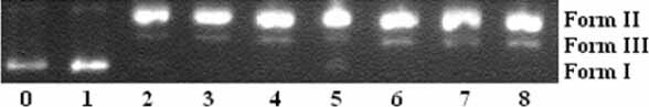 Synthesis, structure and DNA cleavage of mononuclear Fe(III) complexes with 1,2,4-triazole-base ligand