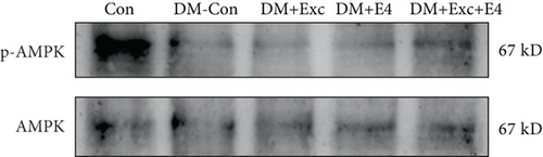 Details are in the caption following the image