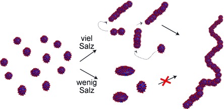 Monitoring the Transition from Spherical to Polymer-like Surfactant Micelles Using Small-Angle X-Ray Scattering