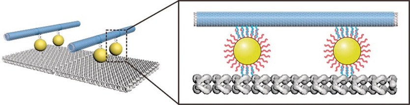 Nanoparticle-Assisted Alignment of Carbon Nanotubes on DNA Origami