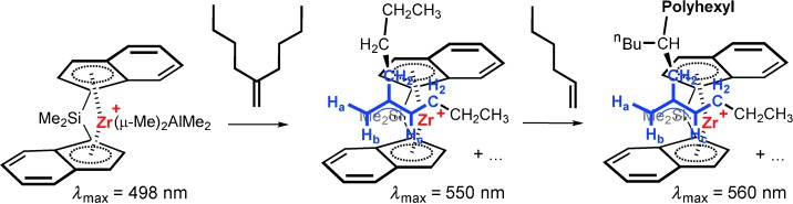 Allylzirconiumkomplexe als Reaktionsteilnehmer bei der Zirconocen-katalysierten α-Olefinpolymerisation