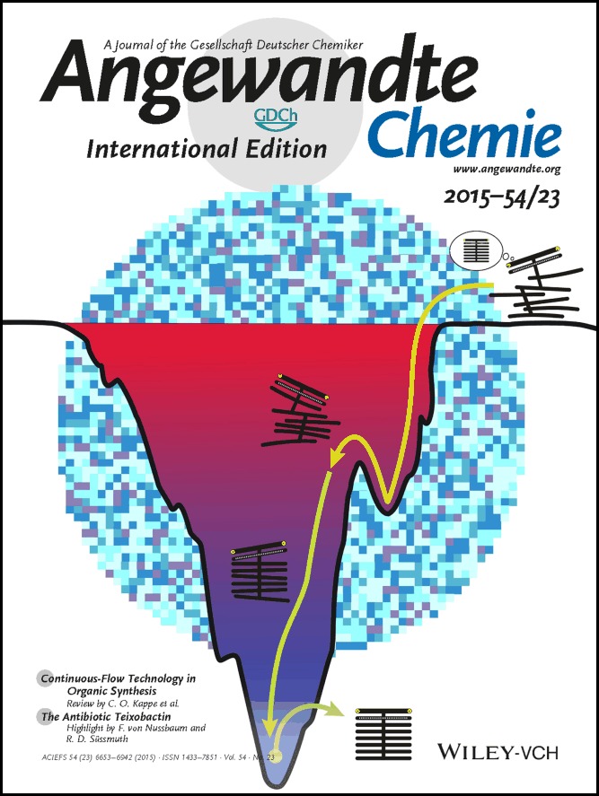 Cover Picture: Folding and Imaging of DNA Nanostructures in Anhydrous and Hydrated Deep-Eutectic Solvents (Angew. Chem. Int. Ed. 23/2015)