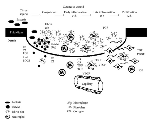 Details are in the caption following the image