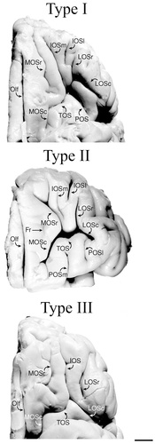 Details are in the caption following the image