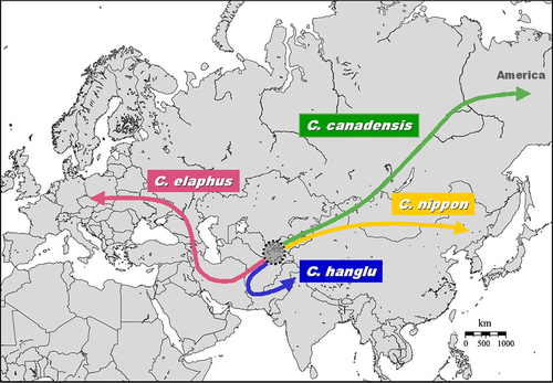 Details are in the caption following the image