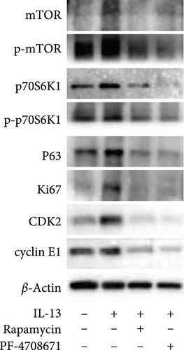 Details are in the caption following the image