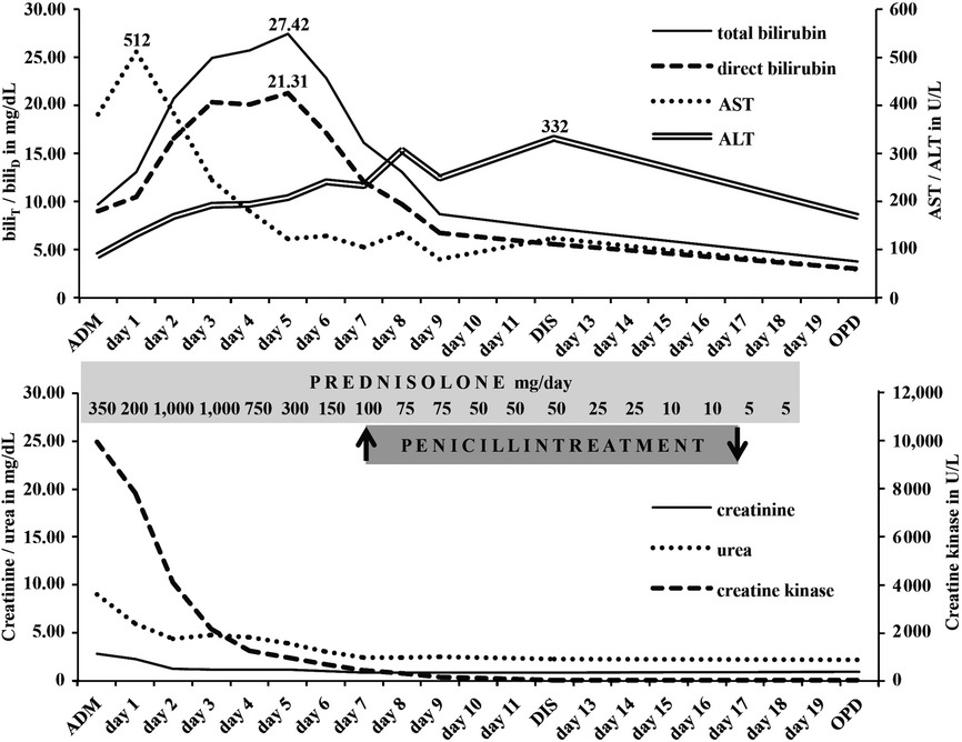 Severe Leptospira interrogans serovar Icterohaemorrhagiae infection with hepato-renal-pulmonary involvement treated with corticosteroids