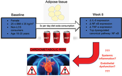 Consumption of Diet Soda Sweetened with Sucralose and Acesulfame-Potassium Alters Inflammatory Transcriptome Pathways in Females with Overweight and Obesity