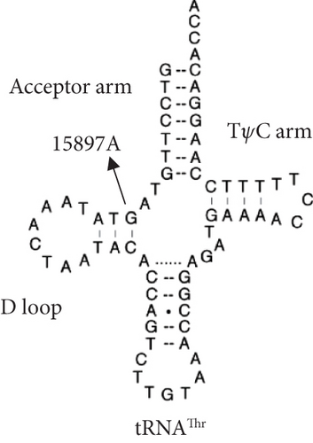 Details are in the caption following the image