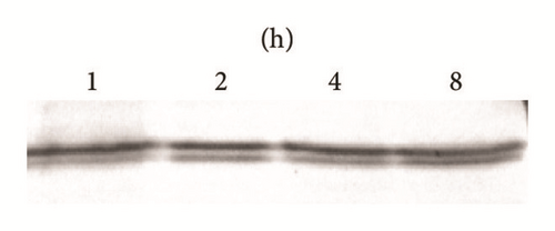 Details are in the caption following the image