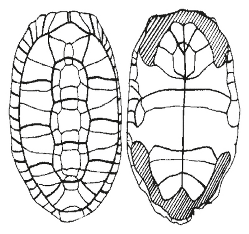 Details are in the caption following the image
