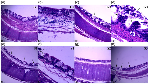 Details are in the caption following the image Details are in the caption following the image