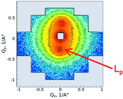 Extended Q-range small-angle neutron scattering to understand the morphology of proton-exchange membranes: the case of the functionalized syndiotactic-polystyrene model system