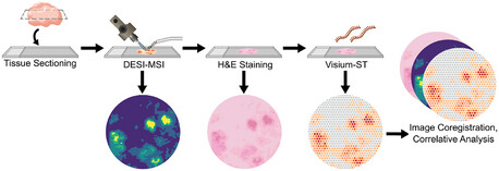 Integrating Ambient Ionization Mass Spectrometry Imaging and Spatial Transcriptomics on the Same Cancer Tissues to Identify RNA–Metabolite Correlations
